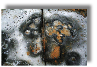 Rock Scars One